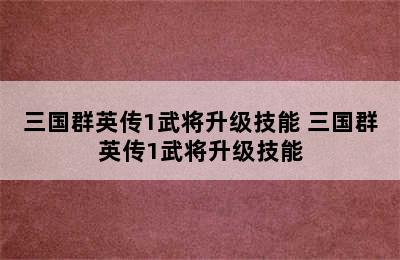 三国群英传1武将升级技能 三国群英传1武将升级技能